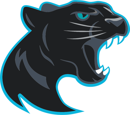 Panther Creek High School