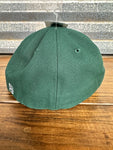 Reedy Baseball Team Cap