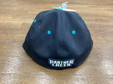 Panther Creek Baseball Team Cap