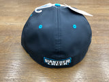 Panther Creek Baseball Team Cap