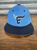 Emerson Baseball Team Cap